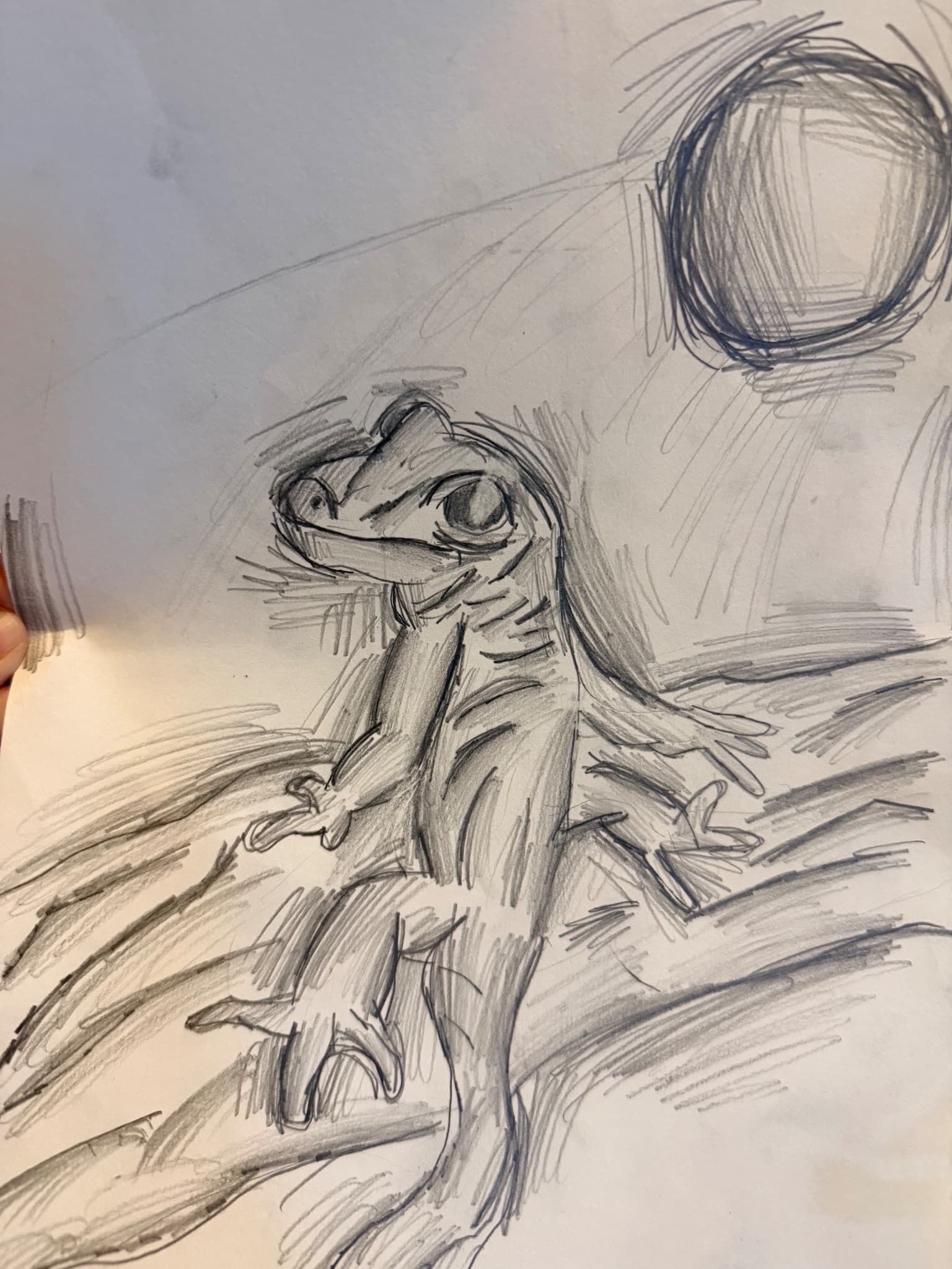 Gecko